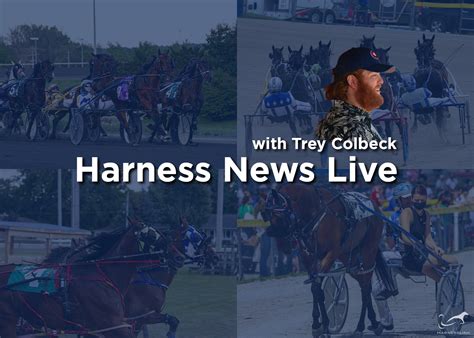 Harnesslink .